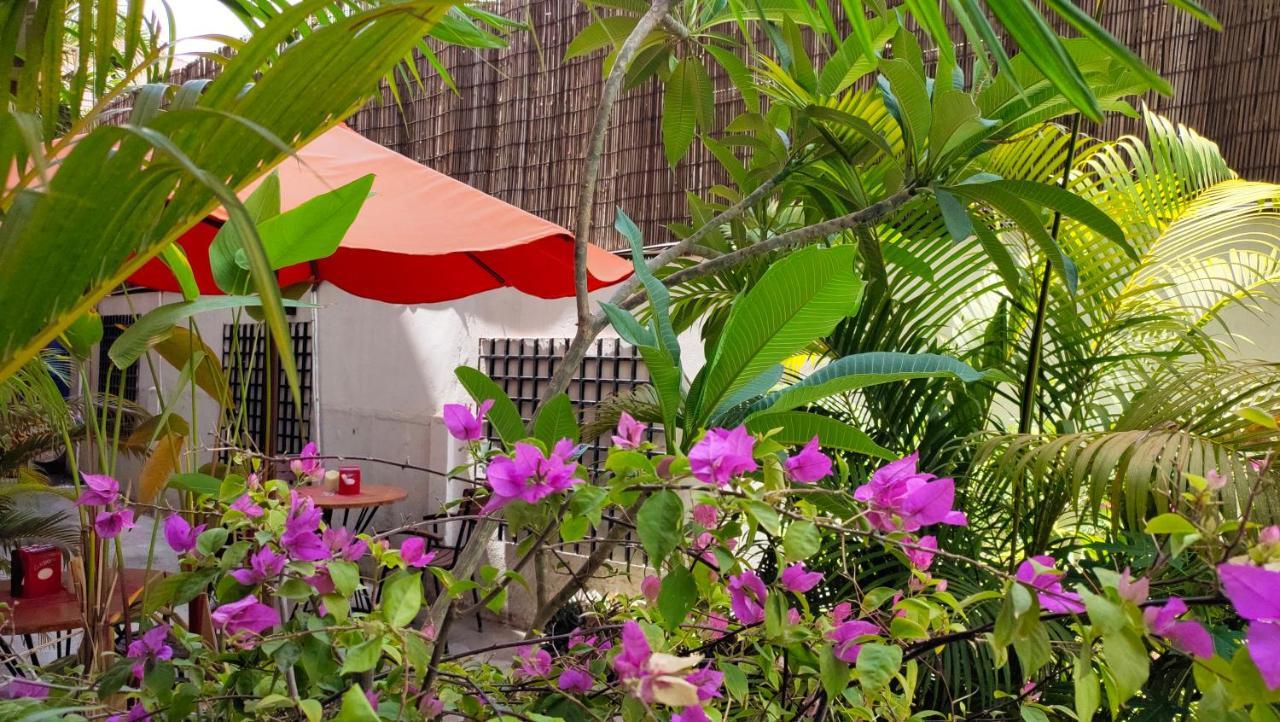 La Villa Du Bonheur Ciudad de Siem Riep Exterior foto